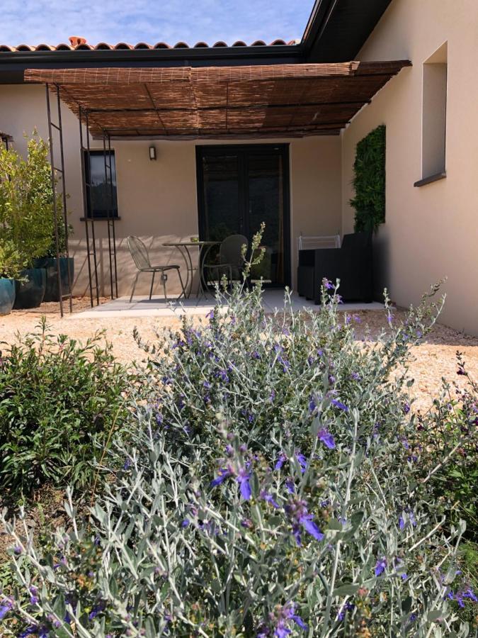 Domaine Mas Terra Bed & Breakfast Saint-Paul-de-Fenouillet Exterior photo